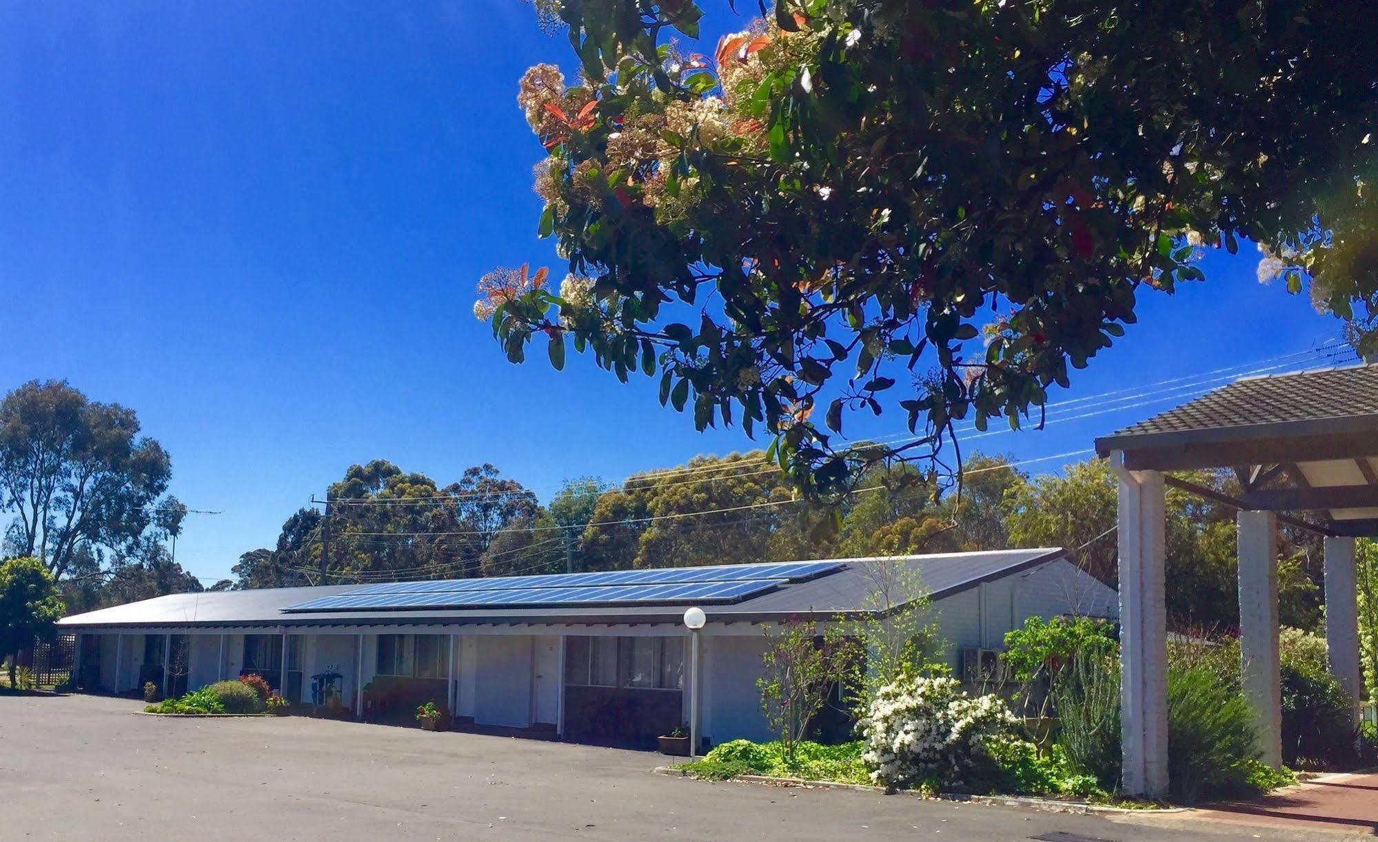 Manjimup Kingsley Motel Exteriér fotografie